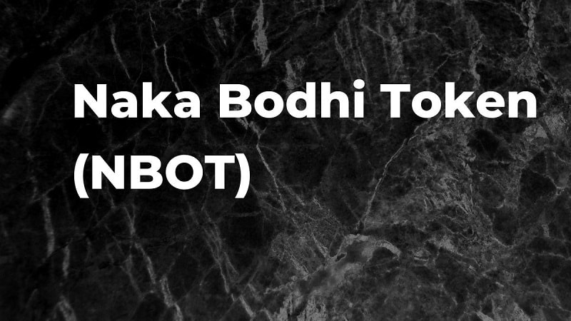 Giới thiệu về ví Naka Bodhi Token (NBOT)