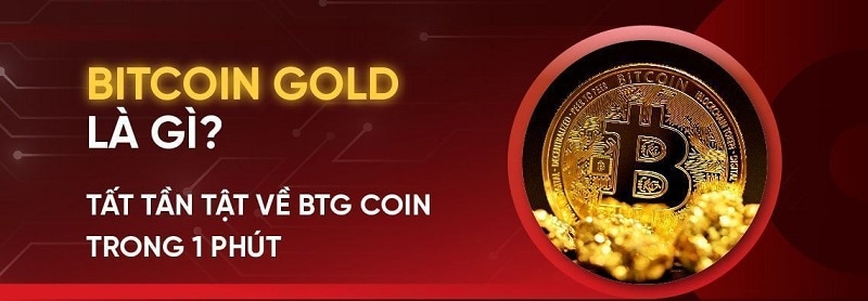 Ví Bitcoin Gold là gì?