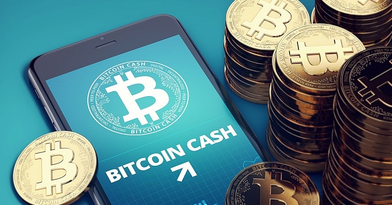 Tỷ giá của đồng tiền điện tử Bitcoin Cash cập nhập