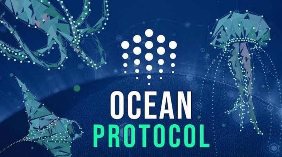 Ví Ocean Protocol là gì?